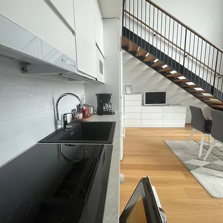 Spacious Loft With A View