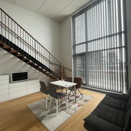 Spacious Loft With A View Apartment *