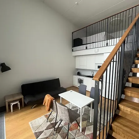 Spacious Loft With A View Apartment Tampere
