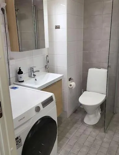 Spacious Loft With A View Tammerfors